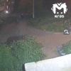 Пьяная компания напала на мужчину с беременной женой в Красноярске
