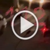 Стаффорд разорвал маленькую собачку и серьезно искусал её...