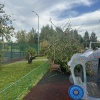 Мощный ураган в Москве сносит деревья и срывает металл с крыш домов