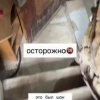 Просто дай знать, где находишься: под Краснодаром нашли гараж, от которого каждый входящий не может сдержать восторга.