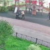 Самокатчик нападает на женщин в Новой Охте