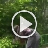 В Дзержинске школьницы избивают одноклассниц и снимают это на камеру.