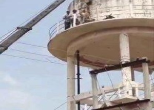 В Индии бык забрался на водонапорную башню и застрял