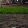 Пьяная потасовка со стрельбой в Междуреченске