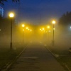 Радиационные туманы накроют север Московской области в ближайшие дни —...