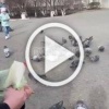 Вот такой вчера был день в Алапаевске. 🇷🇺 Источник: ЧП...