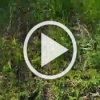 ❗️Российские бойцы продолжают освобождать Запорожскую...