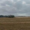 В Красноярском крае стартовала уборочная кампания Аграрии Рыбинского округа...