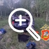 13-летние девочки погибли в результате аварии в Подмосковье.