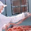 Карасукский маясокомбинат может обанкротиться из-за долгов в почти 249 млн...