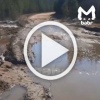 Горная река затопила дорогу к посёлку в Бурятии.