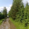 Вода отступает с дачных участков в Ленобласти. Спасатели...