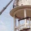 В Индии бык забрался на водонапорную башню и застрял