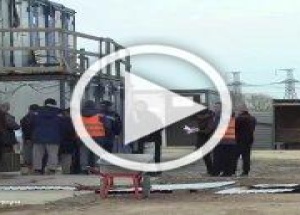 Полиция с собаками прошлась по стройкам Пушкинского...