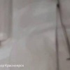 Клещи сохраняют свою активность На минувшей неделе пострадали от нападения...