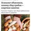 Грибники — латентные лудоманы, заявили психологи.
