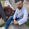 Ухудшилось состояние орангутана, которому российская спортсменка дала покурить вейп