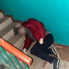 В ДНР мужчина убил собутыльника, который отказался покормить его кота.