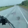 🚓Из Хабаровска во Владивосток направляются десятки экипажей ДПС для обеспечения безопасности в преддверии ВЭФ.