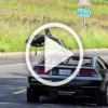 DeLorean DMC-12 — как будто она появилась из будущего.
