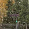 В Екатеринбурге пошел первый снег Согласно прогнозу синоптиков, в регионе...