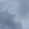 Журавли улетают на юг 🕊️