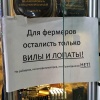Запрет на майнинг криптовалют начал действовать в Москве и Московской области.