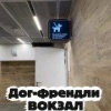 Комнату для ухода за питомцами открыли на Ленинградском вокзале после...