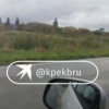«Миха! Миха!»