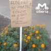 Проклятая клумба, лишающая людей секса, появилась в Новосибирске. Садоводы...