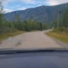 Медведи снова выходят к людям. На этот раз косолапого заметили у дороги к...