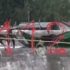 Лосей, застрявших на гидроузле в Подмосковье, спасли! Двухдневное приключение...