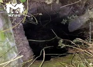 Спасатели достали коня из колодца в Красноярском крае. Скакун провалился в...
