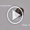 58-летний красноярец заразился эрлихиозом после укуса клеща