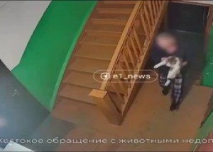 Под Екатеринбургом неадекватный мужчина похитил и застрелил соседского кота только за то, что тот однажды сел на капот его машины