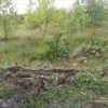 Вчера в Губкинском округе произошло серьезное ДТП