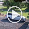 Домашняя собака разорвала щенка хаски в Ачинском районе...