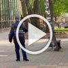 Пёсик захотел поиграть: в Нижнем Новгороде эвакуировали зоопарк из-за сбежавшего волка
