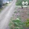 На Кубани неадекват в трусах расстреливает котов из пневматики. Мужчина вышел...