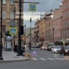 Самая счастливая собака Петербурга попала на видео
