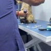 Кот-Иисус завирусился в рилсах.