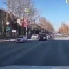 Щенок кокер-спаниеля сбежал из дома и попал под машину в Новосибирске. Хозяева отказались от него, узнав стоимость лечения…