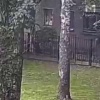 Телефонные мошенники превратили петербуржца в 