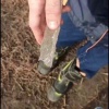 Очередных подростков прогнали с тонкого льда на Петухова в Новосибирске