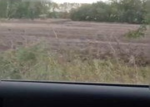 Дикую рысь заметили в Ордынском районе. 🌇 Источник: ЧП Новосибирск