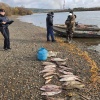 На реках Красноярского края выявили 19 нарушений правил рыболовства В...