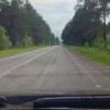 Жители Нижней Поймы сняли на видео медвежонка на местном...