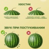🍉 Сколько стоит полакомиться арбузом во Владивостоке