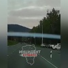 Медведей заметили сразу в двух районах Кузбасса