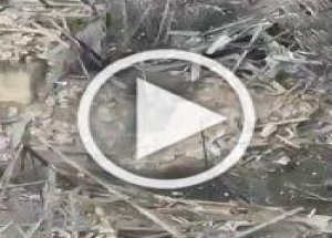 ❗️Наш боец в одиночку ликвидировал трех нацистов 🇷🇺...